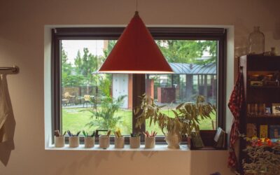 Hoe maak je een plantenhoek in huis?