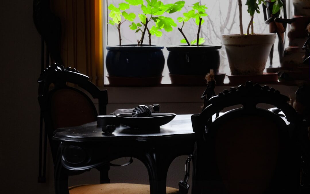 Mooiste kamerplanten voor op tafel