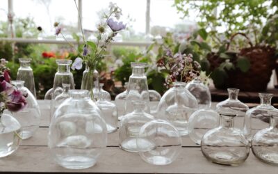 Planten in glazen potten en stolpen