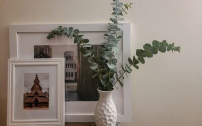 Mooie hangplanten voor in huis