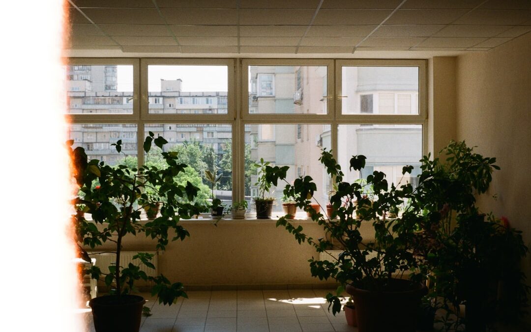 Planten in luxe interieurs