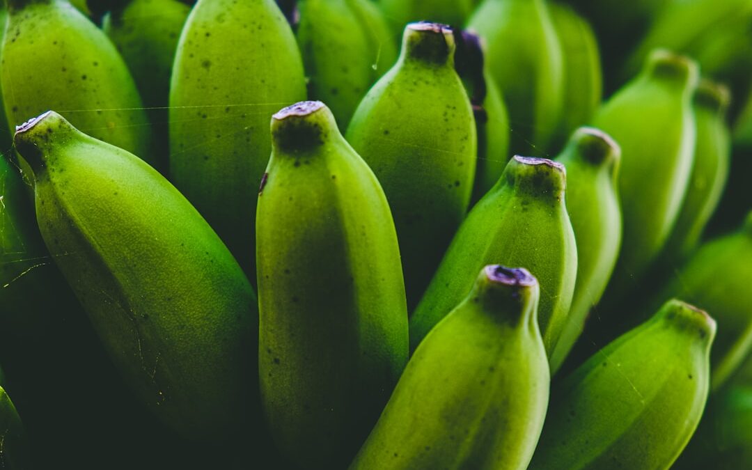 Kamerplanten verzorgen met bananenschillen: werkt dat?