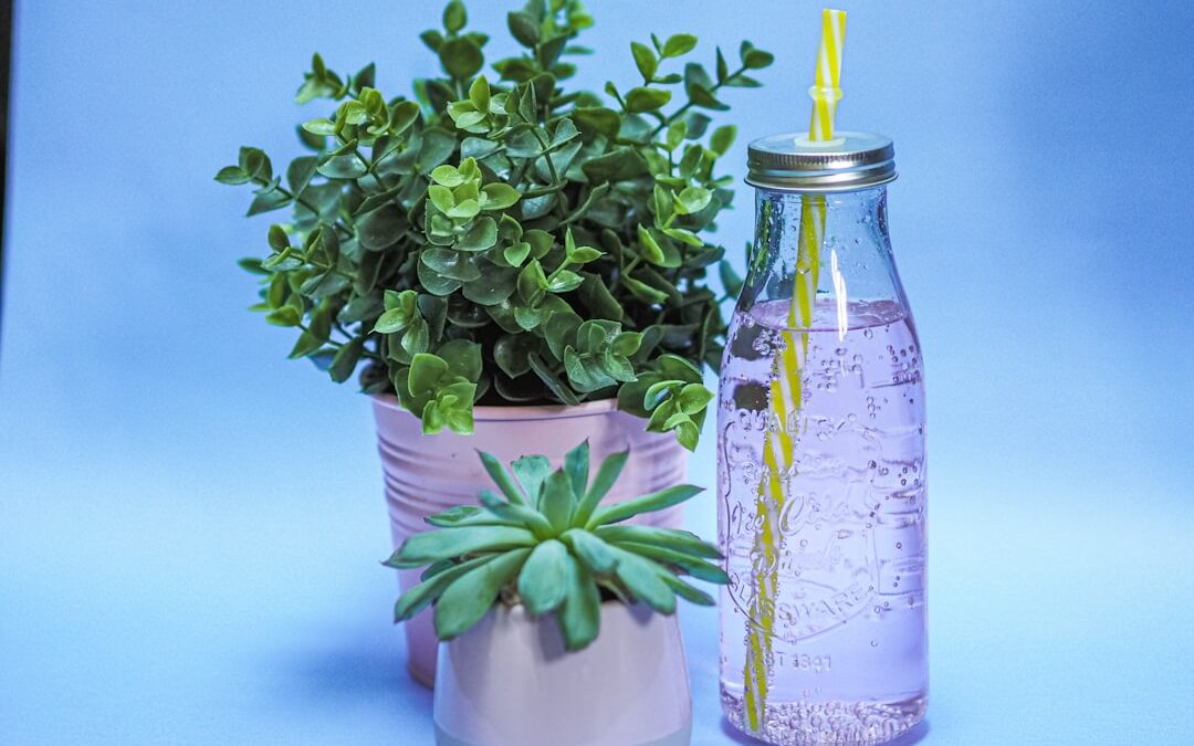 Planten water geven met een plantenspuit: tips