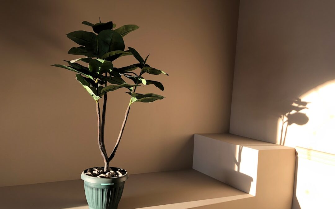 Kamerplanten die weinig licht nodig hebben